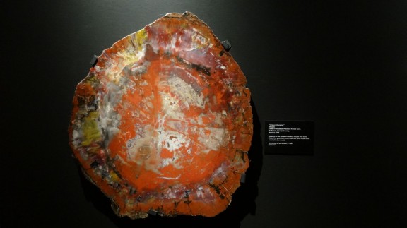 DSC02775