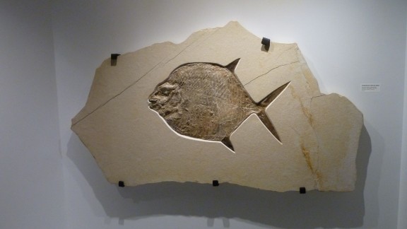 P1050189