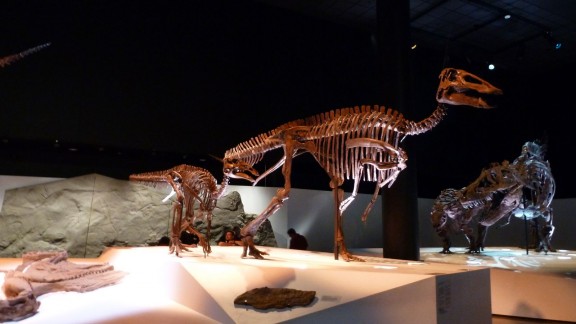 P1050190