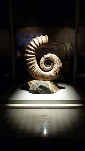 P1050225