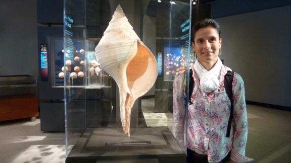 P1050234