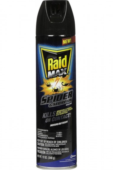 RaidSpyder