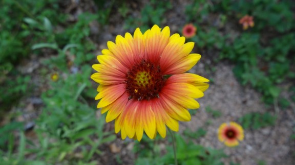 DSC03466