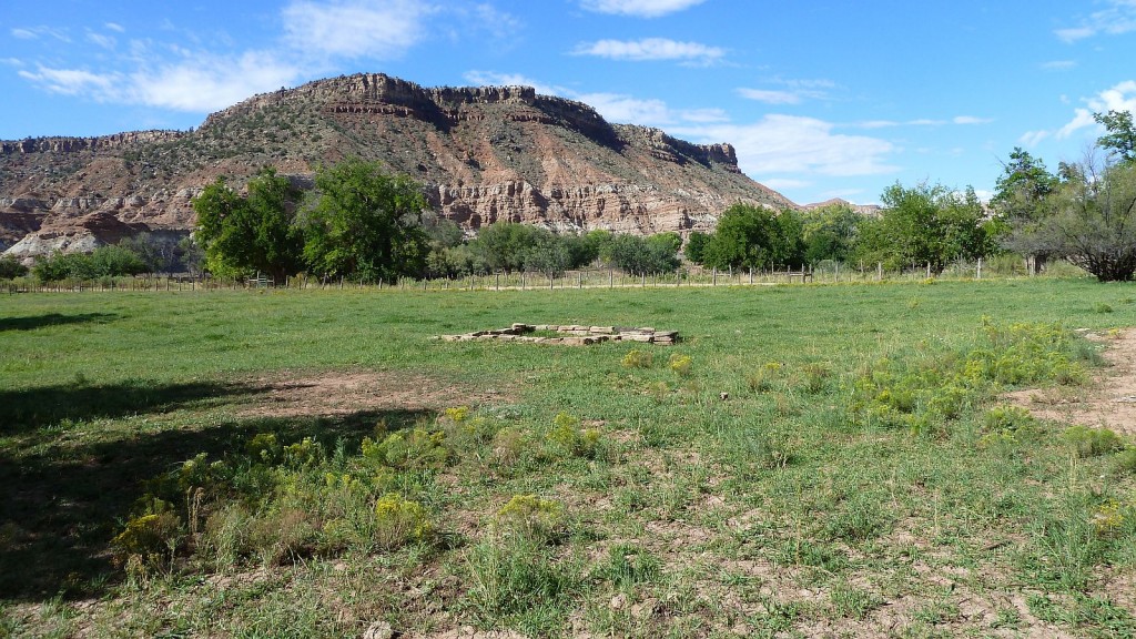 P1000874