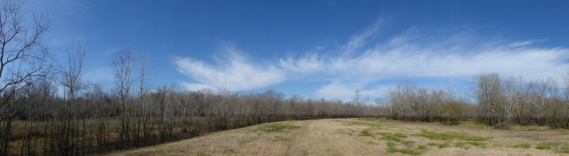 P1020708
