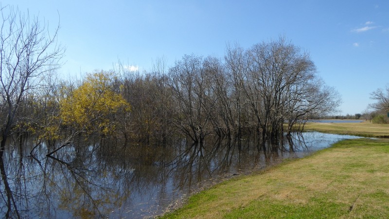 P1040006