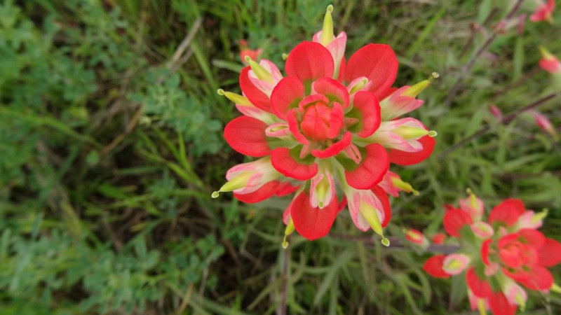 DSC00046
