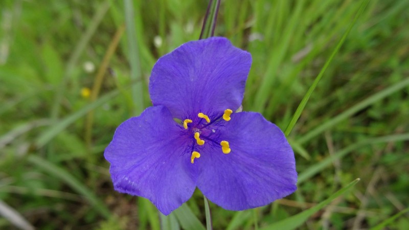 DSC00049