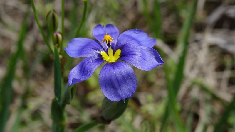 DSC00070