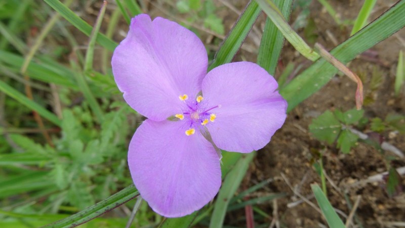 DSC00119