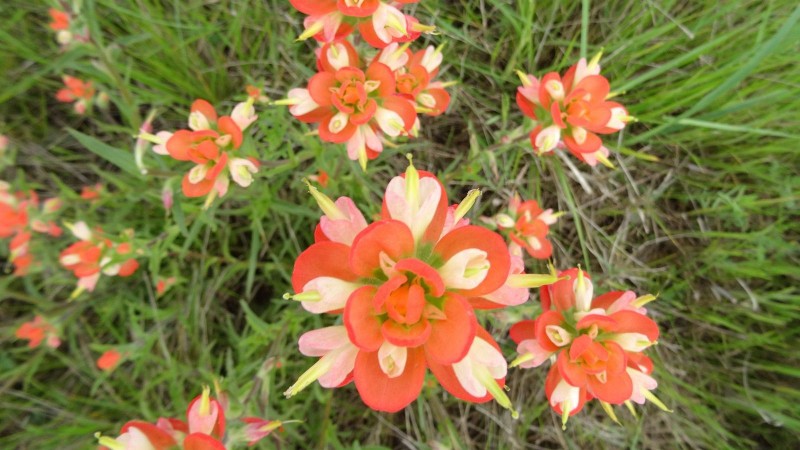 DSC00122