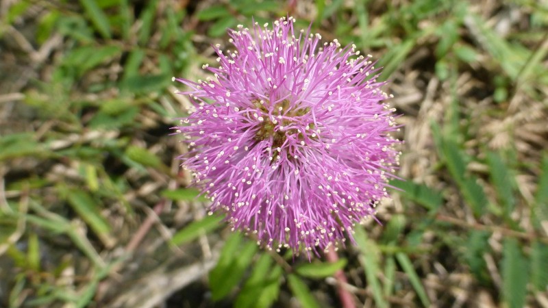 P1020802
