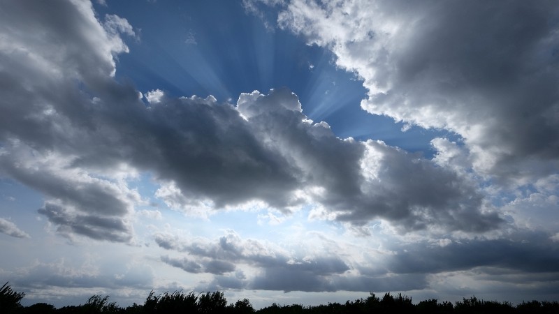 DSCF9523