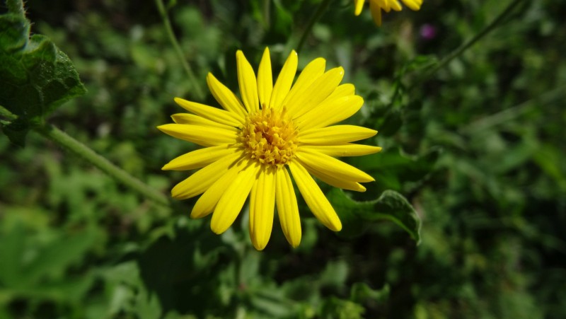 DSC00951